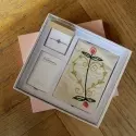 Collection Objets  - Coffret broderie • Sarah Espeute - 1